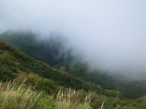 f0118332_011274.jpg