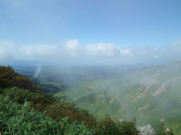 f0118332_014130.jpg