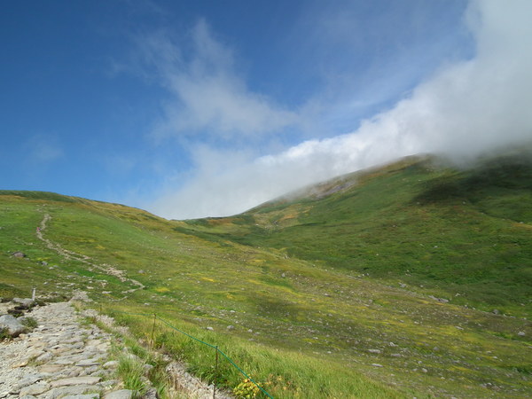 f0118332_022321.jpg