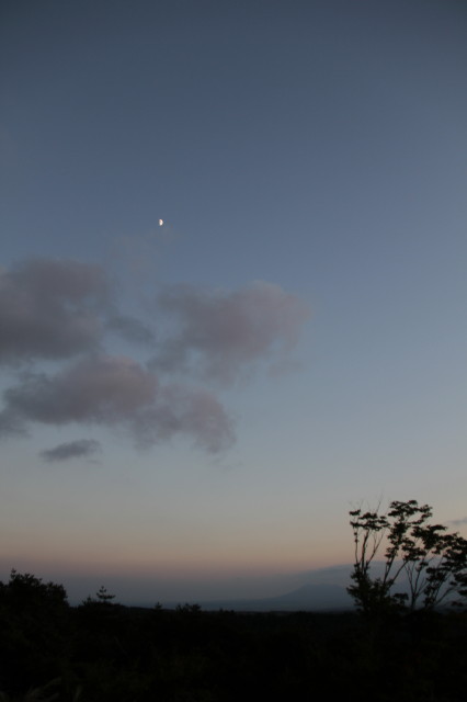 d0140234_2142381.jpg