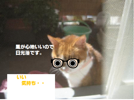 e0255638_122196.gif