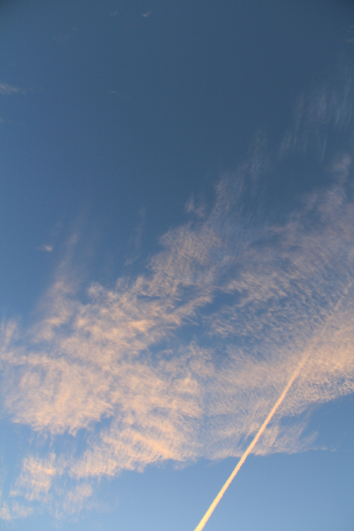 e0227139_0223310.jpg