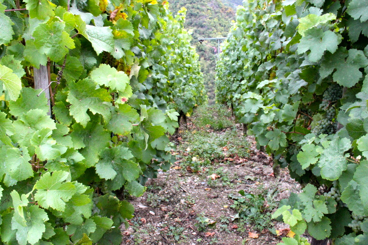 c0153740_1648051.jpg