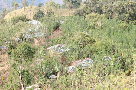 e0020945_1132337.jpg