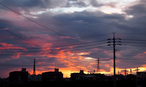 c0171349_842324.jpg