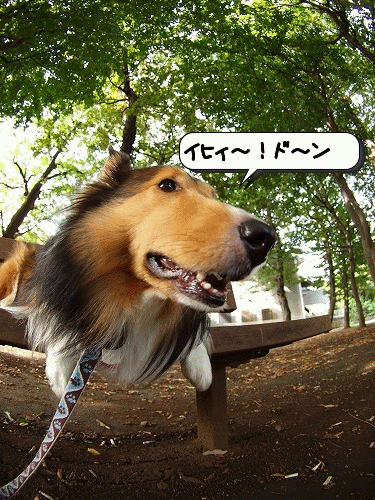 b0180764_11463111.gif