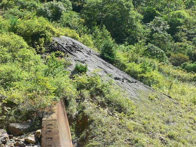 d0028665_21102668.jpg