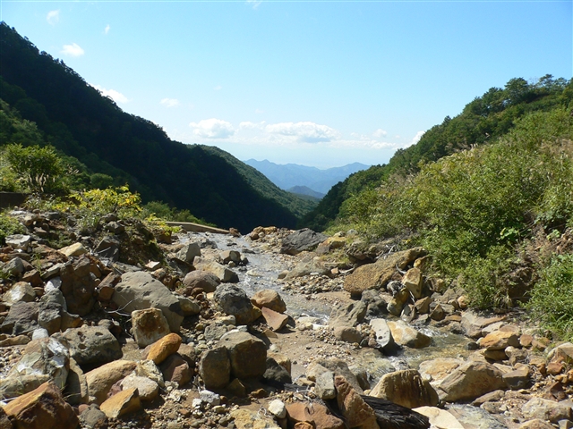 d0028665_21141471.jpg