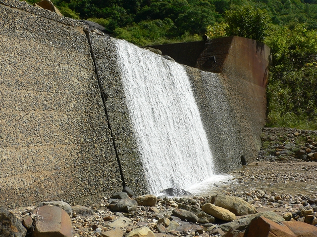 d0028665_211474.jpg