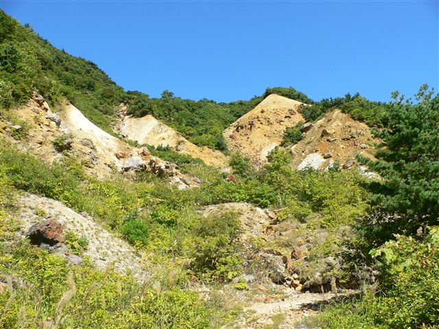 d0028665_21533497.jpg