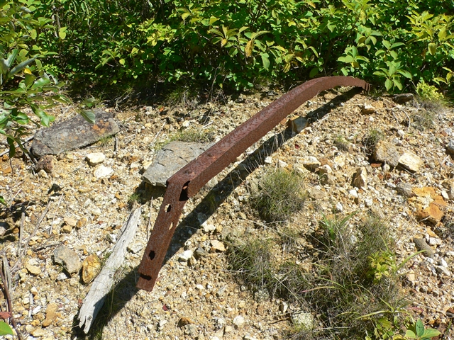 d0028665_2155972.jpg