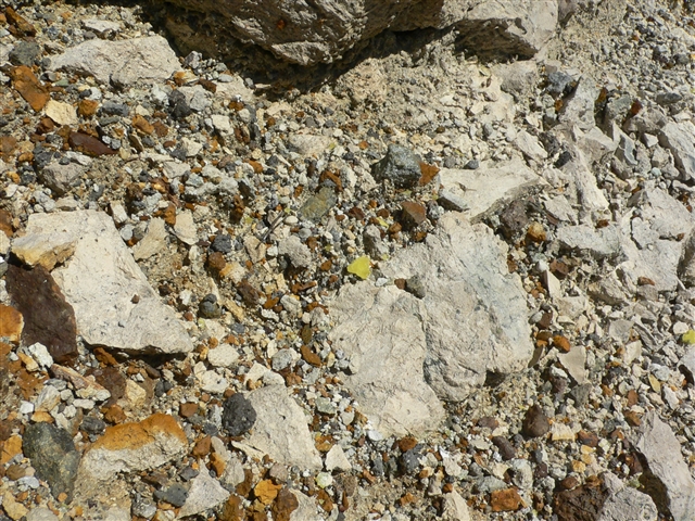 d0028665_2211899.jpg