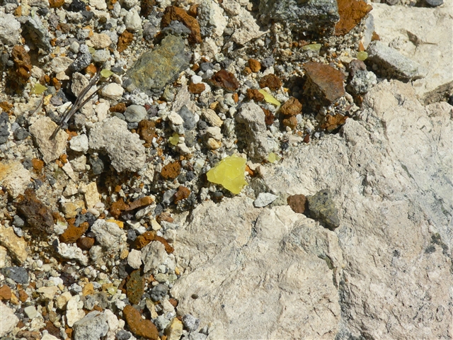 d0028665_2225620.jpg