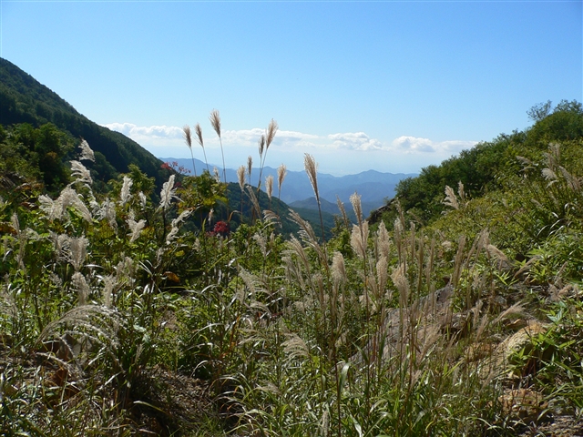 d0028665_2237241.jpg