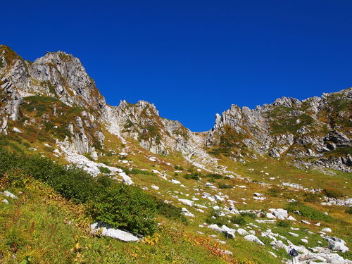 c0144868_1482420.jpg