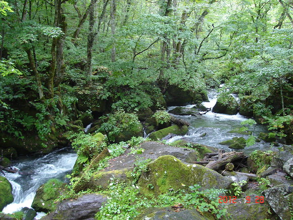 a0188775_21101039.jpg