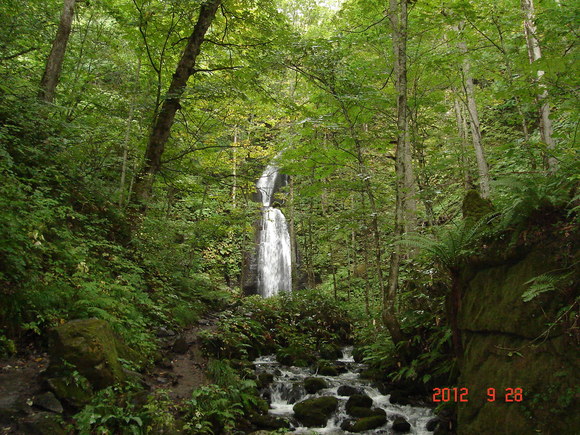 a0188775_21102771.jpg