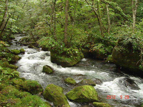 a0188775_2194237.jpg