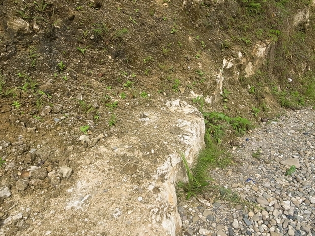 a0067578_18591071.jpg