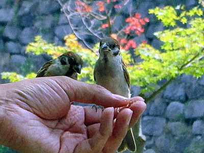 f0052281_162416100.jpg