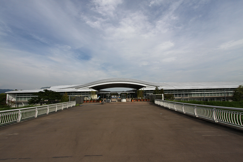 e0164282_10362689.jpg