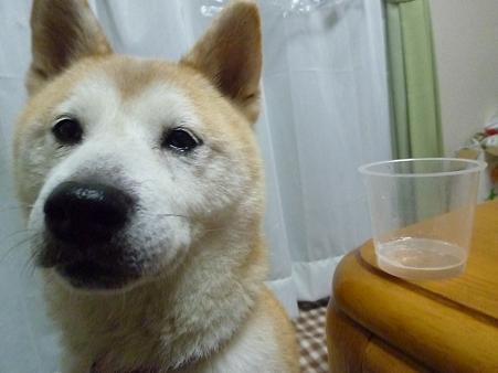 c0123890_20181057.jpg