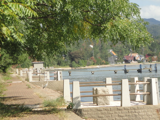 f0131491_17453246.jpg