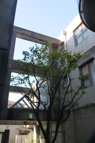 f0222692_813244.jpg