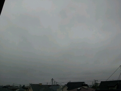 d0239796_835681.jpg