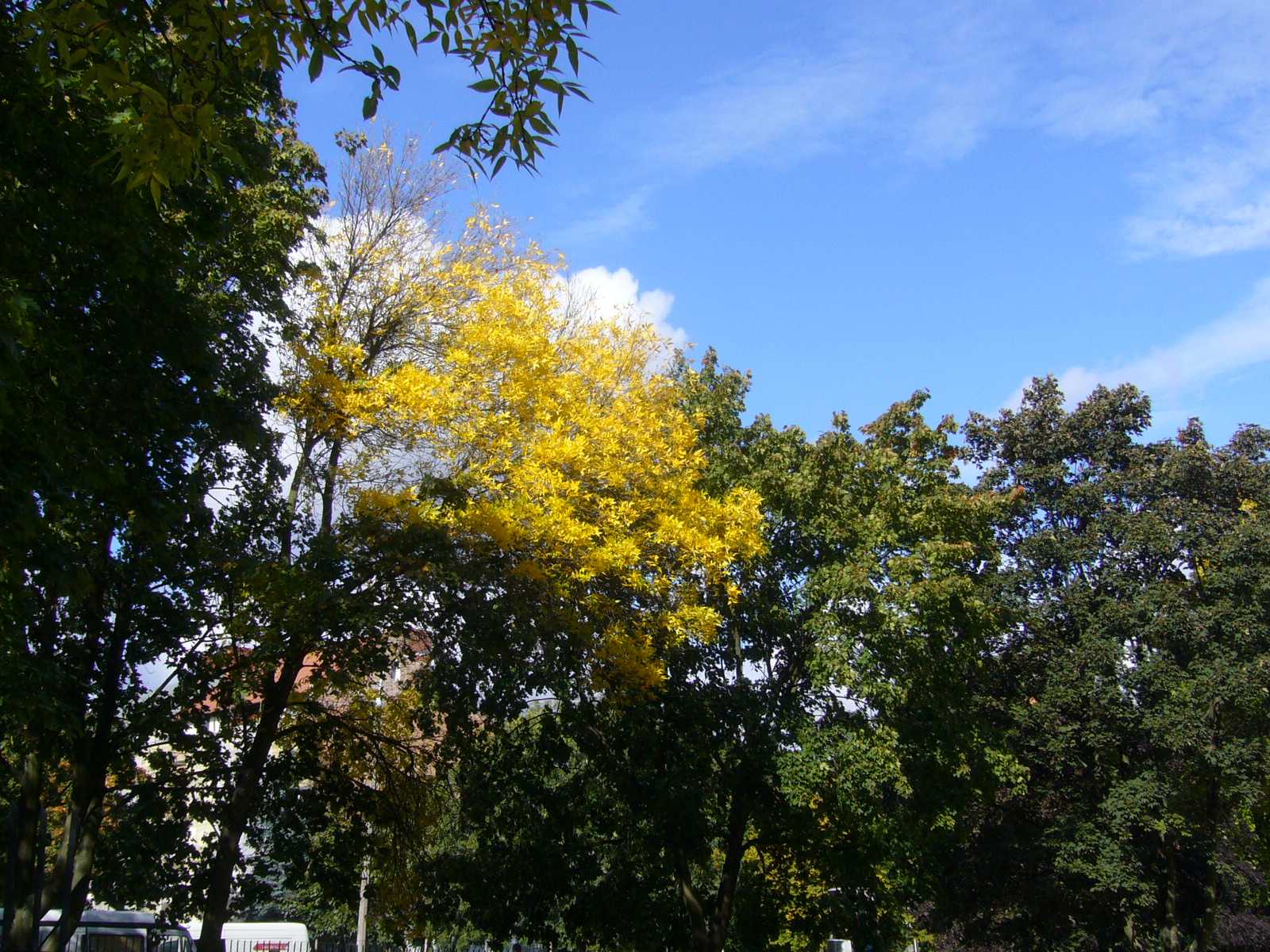 f0169397_19152565.jpg
