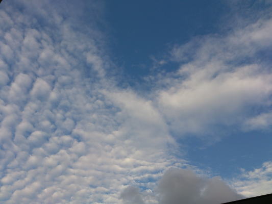 b0160300_21494576.jpg