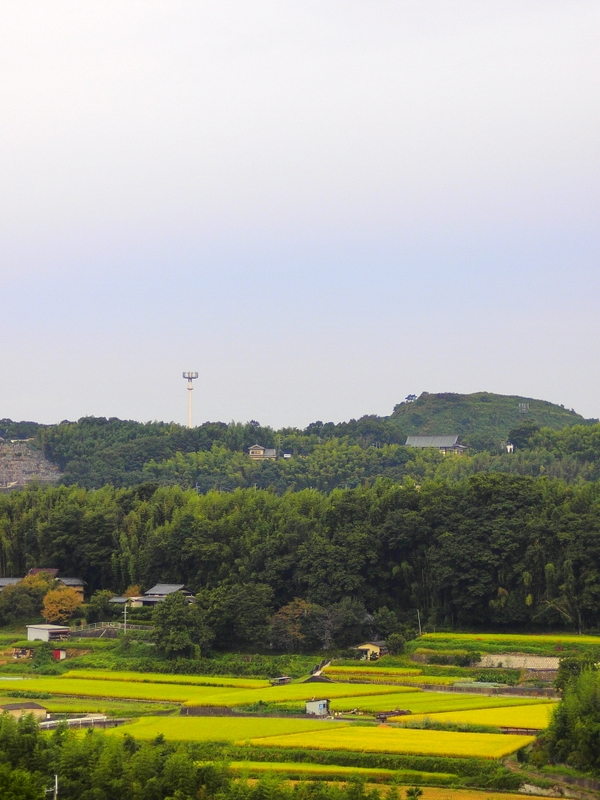 b0138101_16291541.jpg