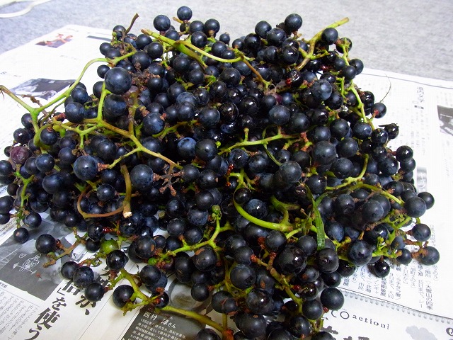 f0157901_2001212.jpg