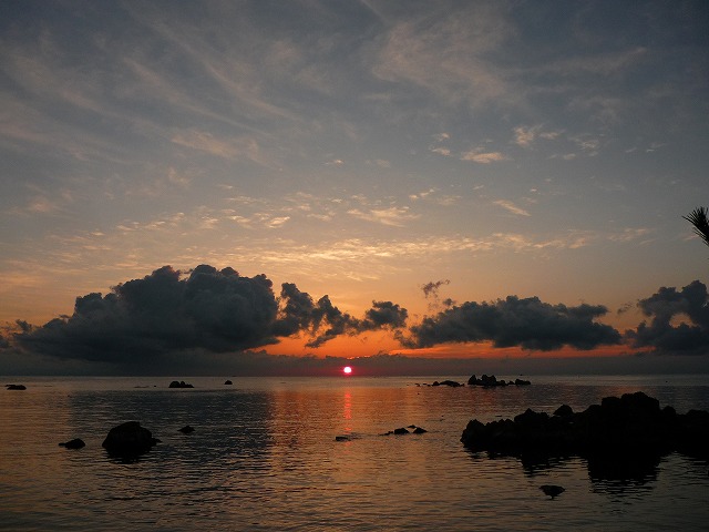 a0145102_21531192.jpg