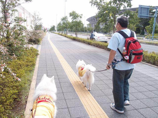 e0018604_2153089.jpg