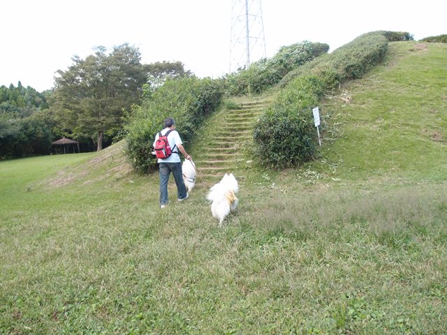 e0018604_21544439.jpg