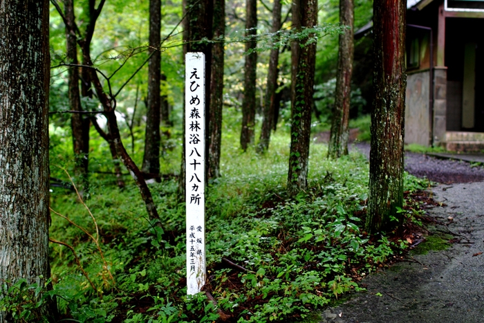 a0097006_23595382.jpg