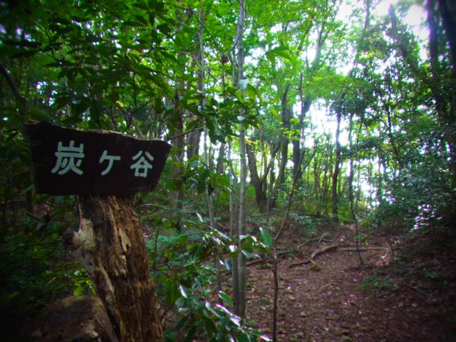 b0183911_22192560.jpg