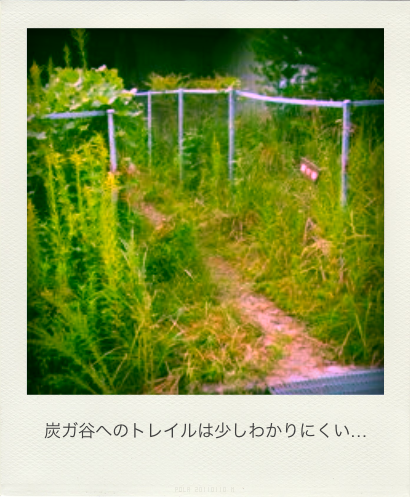 b0183911_2221331.png