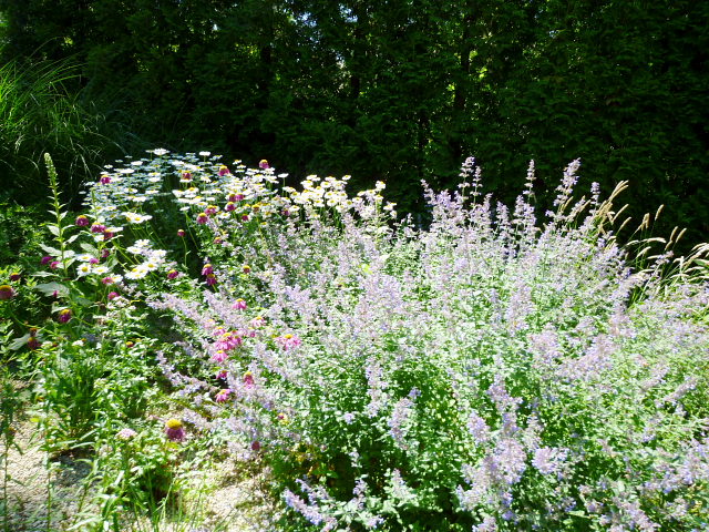 d0170615_20384411.jpg