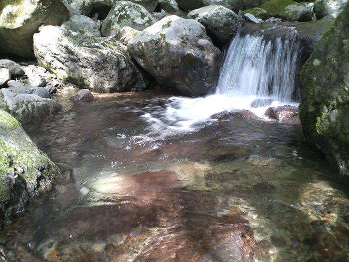 d0168318_21525758.jpg