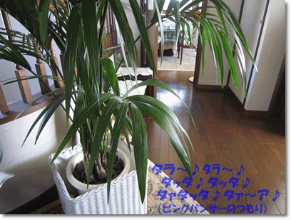 b0167519_102038100.gif