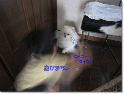 b0167519_10331619.gif