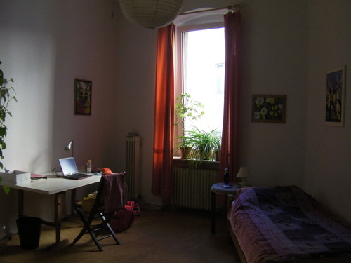 a0104020_472217.jpg