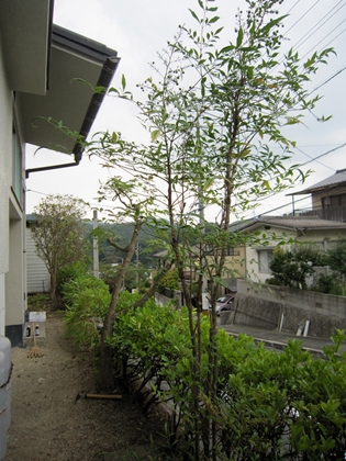 a0105023_152515.jpg