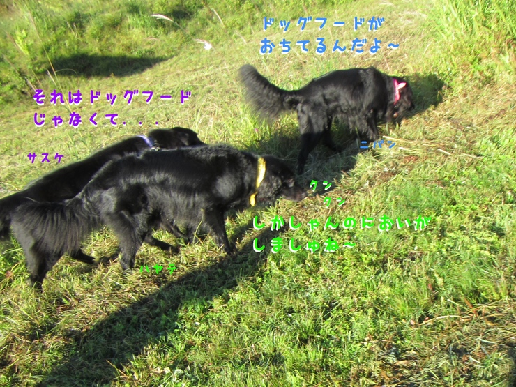 c0237824_1001189.jpg
