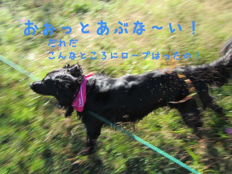c0237824_104583.jpg