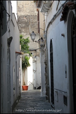a0242932_23585644.jpg