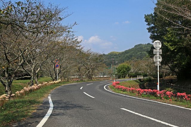 a0242438_18301753.jpg