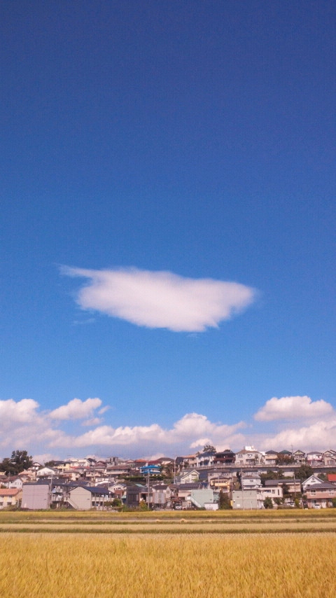 e0238738_22461254.jpg